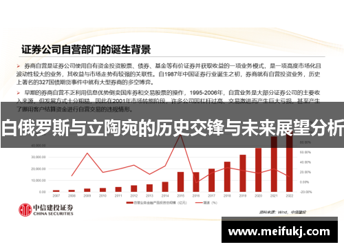 白俄罗斯与立陶宛的历史交锋与未来展望分析