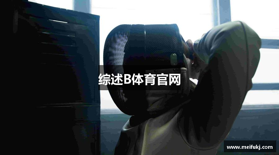 综述B体育官网